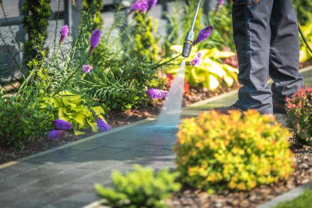 Best Gas Station Cleaning  in Crete, IL