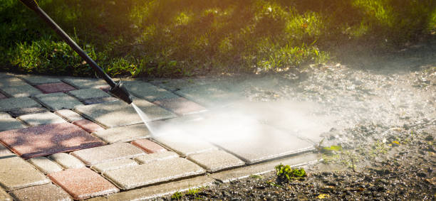 Best Roof Washing  in Crete, IL